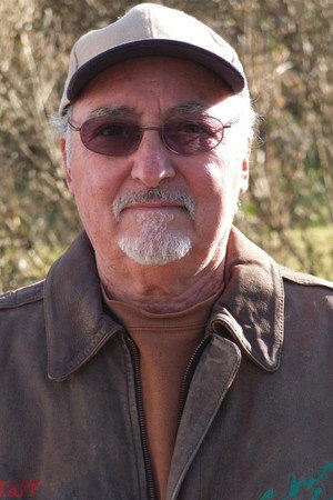 Cover image for David Saperstein