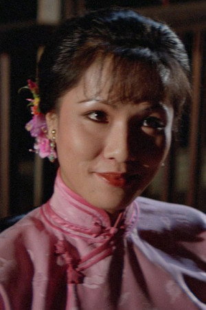 Cover image for Leung Suet-Mei