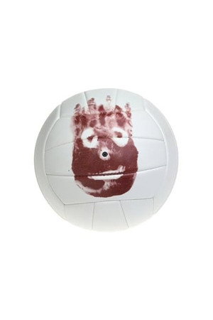 Cover image for Wilson the Volleyball