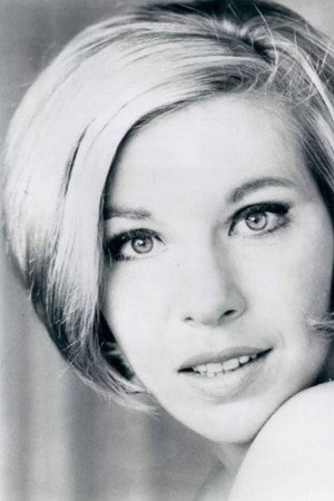 Cover image for Beverly Sanders