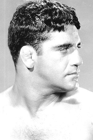 Cover image for Sammy Stein