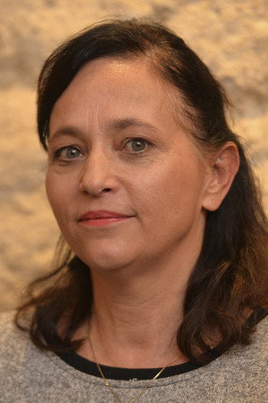 Cover image for Alena Mihulová