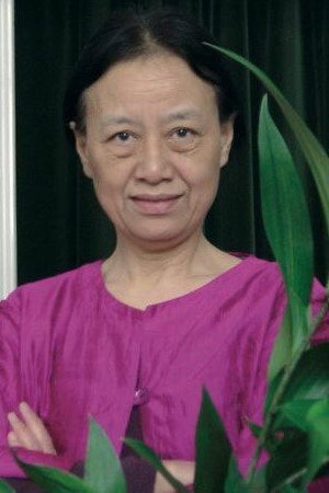 Cover image for Xing Xing Cheng