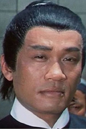 Cover image for 王洪彰