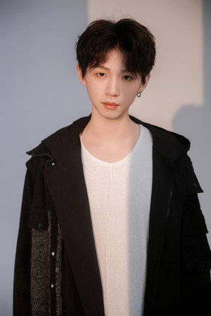 Cover image for 叶上庄