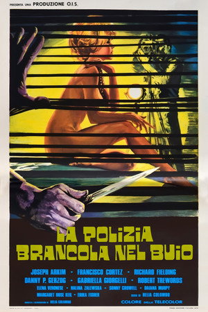 Poster for Полиция блуждает в потёмках
