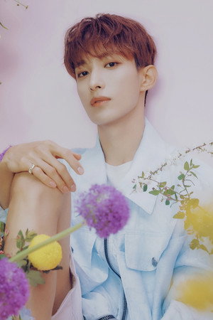 Cover image for 도겸