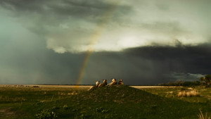 Poster for Эпизод 2