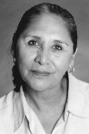 Cover image for Julia Vera