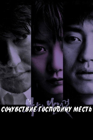 Poster for Сочувствие господину Месть