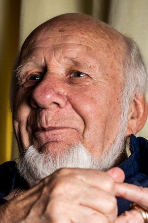 Cover image for Ternovszky Béla