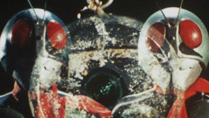 Poster for Эпизод 21