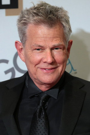 Cover image for David Foster