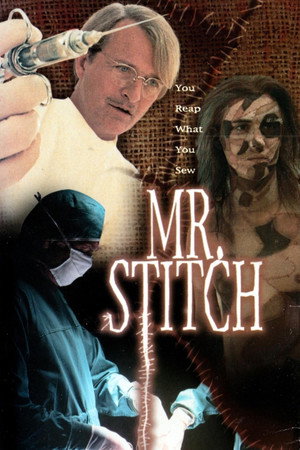 Poster for Мистер Ститч