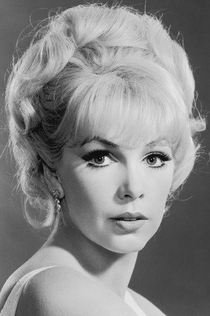 Cover image for Stella Stevens