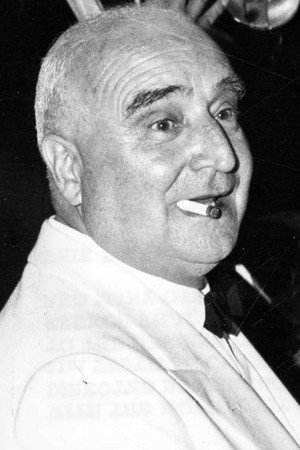 Cover image for Angelo Rizzoli