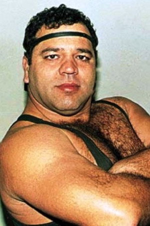 Cover image for Απόστολος Σουγκλάκος