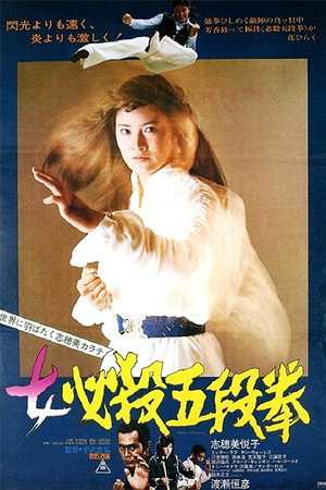 Poster for Сестра уличного бойца: Кулак пятого уровня