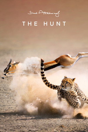 Poster for Охота