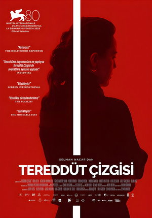 Poster for Hesitation Wound