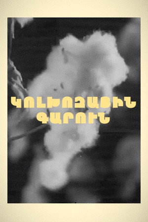 Poster for Колхозная весна