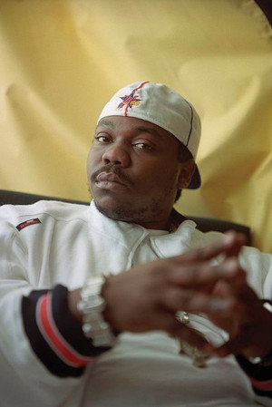 Cover image for Beanie Sigel