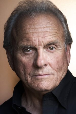 Cover image for Robert Craighead