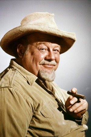 Cover image for Burl Ives