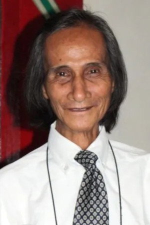 Cover image for Palito