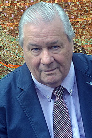 Cover image for Bruce McGuire