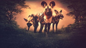 Poster for Эпизод 13