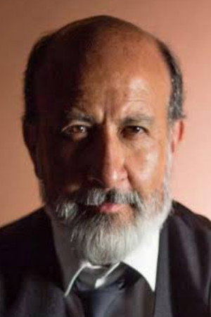Cover image for Luis Fernando Zarate