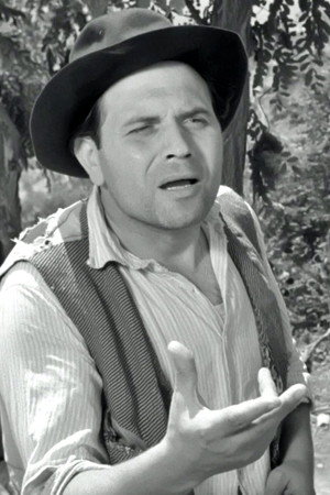Cover image for Mario Meniconi