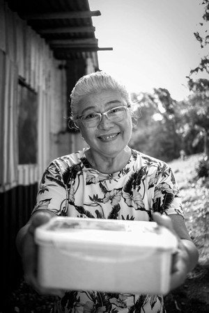 Cover image for Lui Manansala