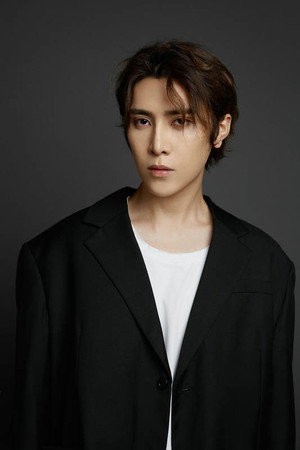 Cover image for Luigi Zhang