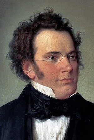 Cover image for Franz Schubert