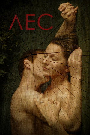 Poster for Лес
