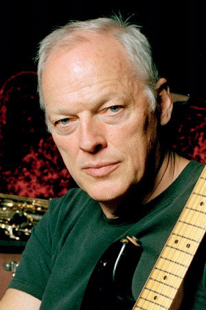 Cover image for David Gilmour