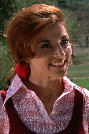 Cover image for Lenore Stevens