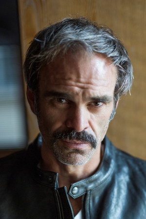 Cover image for Steven Ogg