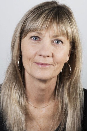 Cover image for Kerstin Andersson