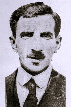 Cover image for Harry Burns