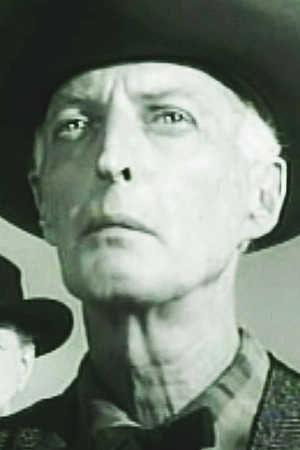 Cover image for Bert Stevens