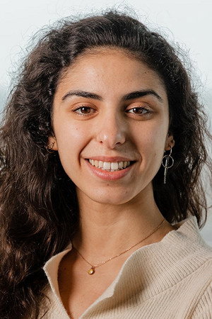 Cover image for Nora Chabert