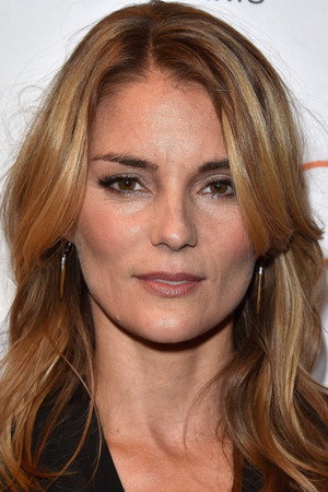 Cover image for Susan Misner