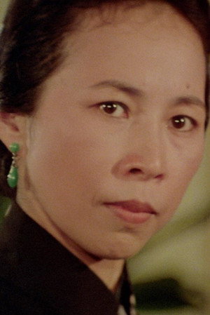 Cover image for Linda Lin Ying