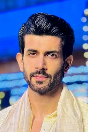 Cover image for Namik Paul