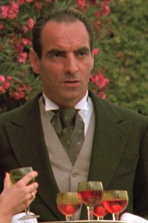 Cover image for Gianni Demartiis