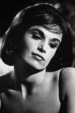 Cover image for Barrie Chase