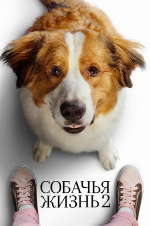 Poster for A Dog's Journey